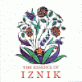 The essence of Iznik