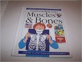 Understanding Your Muscles & Bones