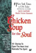 Chicken Soup for the Soul 101 Stories to Open the Heart and Rekindle the Spirit