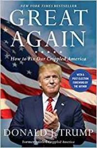 Great Again : How to Fix Our Crippled America