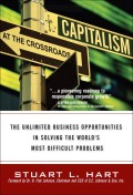 Capitalism at the Crossroads