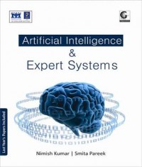 Artificial Intelligence & Expert Systems