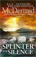 Splinter the silence