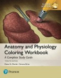 Anatomy and Physiology Coloring Workbook: A Complete Study Guide 12th ed.