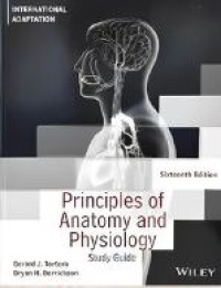 Principles of Anatomy and Physiology : Study Guide 16th ed.