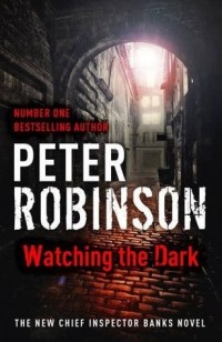 Watching the dark