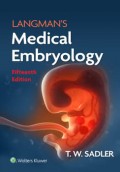 Langman's : Medical Embryology 15th ed.