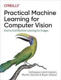 Practical machine learning for computer vision : end-to-end machine learning for images