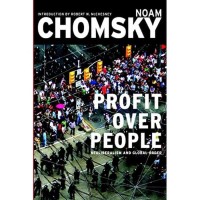 Profit Over People : Neoliberalism and Global Order