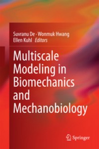 Computational Modeling in Biomechanics