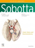 Sobotta atlas of anatomy: Head, Neck and Neuroanatomy.