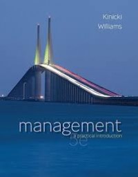 Management : a practical introduction 5th ed.