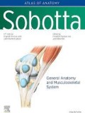 Sobotta atlas of anatomy: General Anatomy and Musculoskeletal System