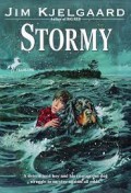 Stormy Voyage