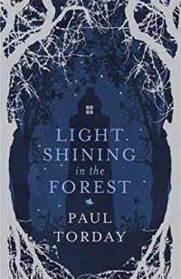 Image of Light Shining inThe Forest