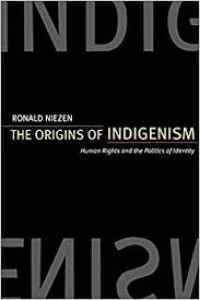 Image of The Origins of Indigenism : Human Rights and Politics of Identity