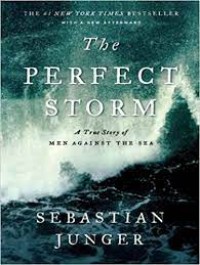 Image of The Perfect Storm